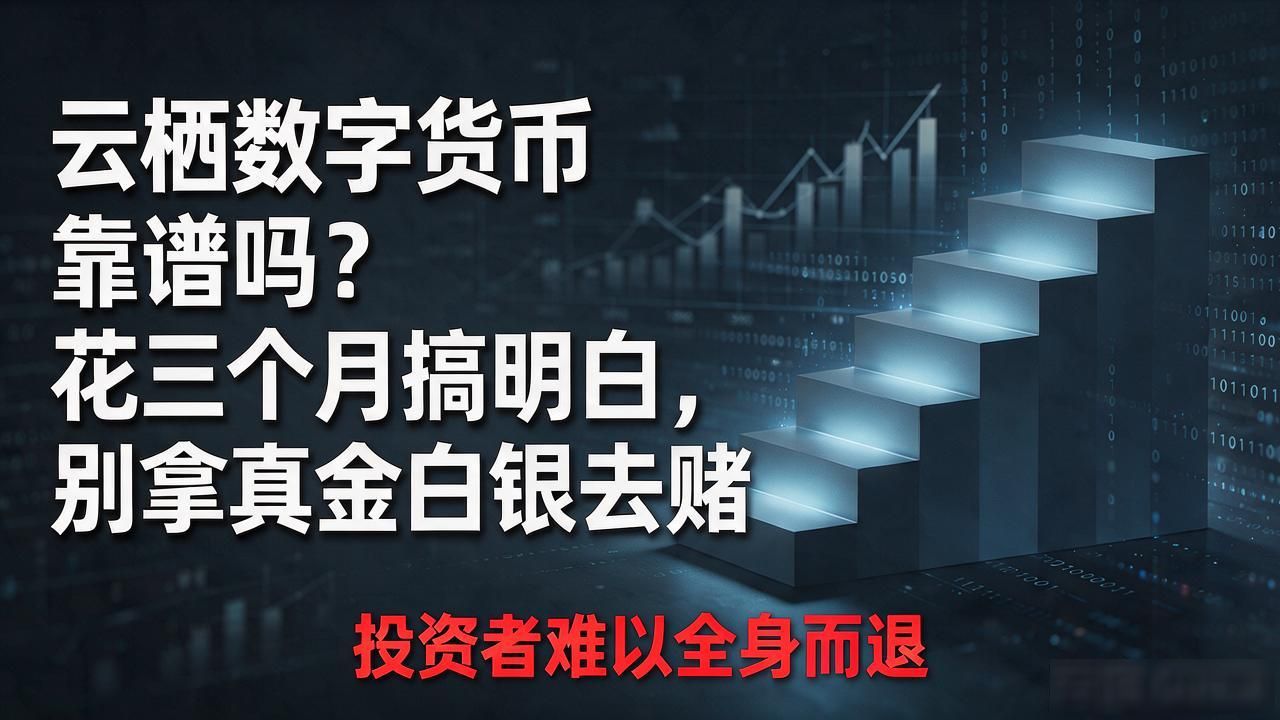 团队背景调查_云栖数字货币靠谱吗_云栖数字货币项目评估
